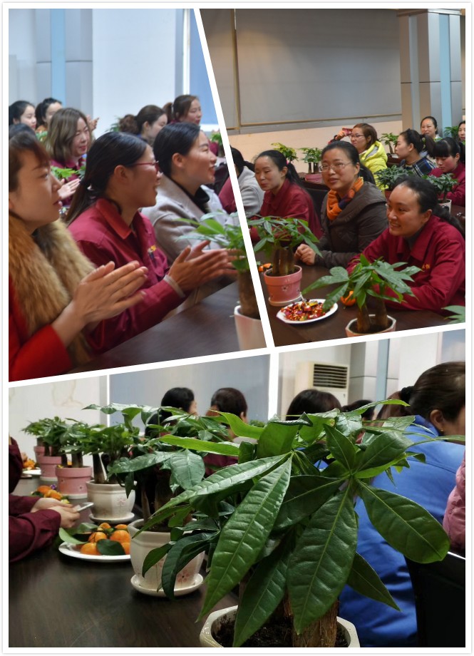 1552097152775568.jpg 集錦.jpg